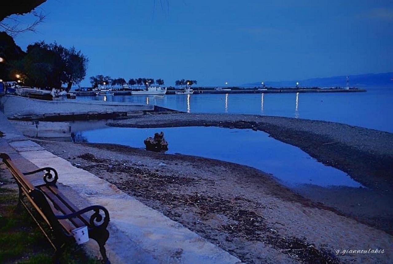 Harmony Seaside Pelion Apartment ปลาตานิอาส ภายนอก รูปภาพ