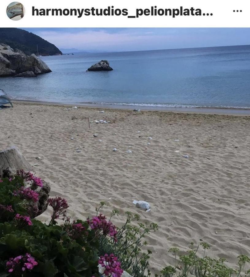 Harmony Seaside Pelion Apartment ปลาตานิอาส ภายนอก รูปภาพ